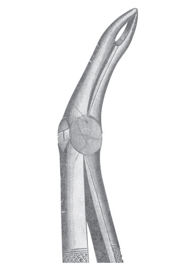 AI-DM-1129 